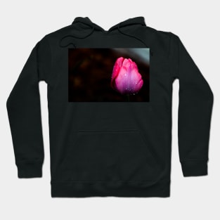 Red in the Rain Hoodie